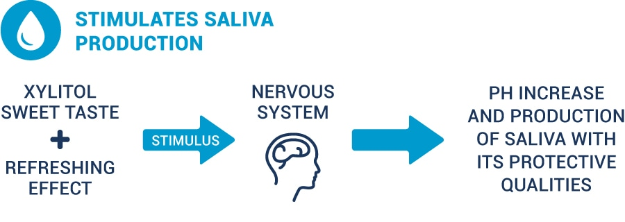 Xylitol stimulates saliva production