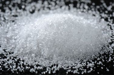 Xylitol - Our Sweet Salvation?