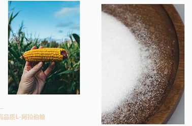 Plant-based Ingredients: L-arabinose